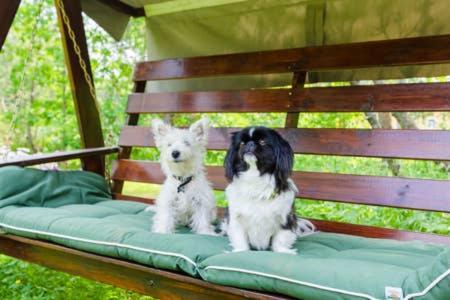Poppelstrand Nuuksio, Pet Friendly Guest Apartment Εξωτερικό φωτογραφία
